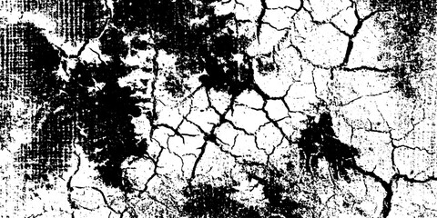 Obraz premium Grunge gecko skin silhouette with cracked texture for design overlay