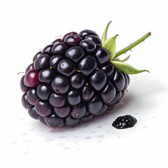 blackberry on white background