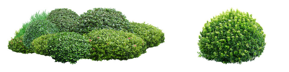 
Transparent background: Lush green bushes with varying textures, including a rounded shrub, ideal for landscaping, garden design, and natural settings.