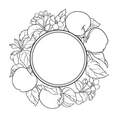 Apple Branch with Flowers, Fruits and Leaves Outline Round Frame. Organic natural nutritional healthy food ingredient, vegetarian diet product. Vector isolated for design or decoration.