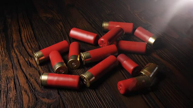 Shell casings scattered on wooden surface showcasing details of shotgun ammunition