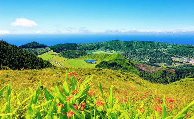 Lagoa Rasa, Sao Miguel Island, Azores, Acores, Portugal, Europe.
