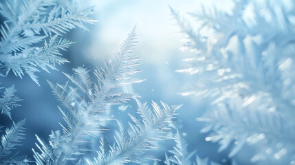 A backlit leaf showing its vein structure	A macro shot of a green leaf, backlit by the sun, making it translucent and revealing its intricate network of veins like a roadmap.
