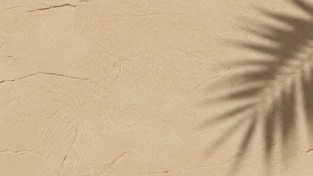 Tan textured wall with a shadowed palm leaf overlaying the right side