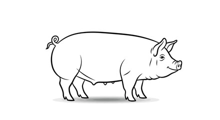 Black and White Outline Drawing of a Pig in Profile View