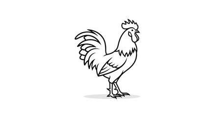 Black and White Rooster Illustration Standing Proudly on White Background