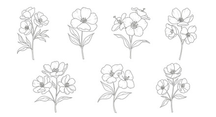 Collection of Six Gray-Scale Line Drawings of Delicate Flower Blossoms