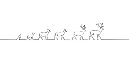 Continuous Line Drawing of Bird, Lamb, and Deer Progression