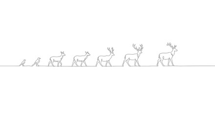 Line Art Evolution of Deer, from Bird to Stag