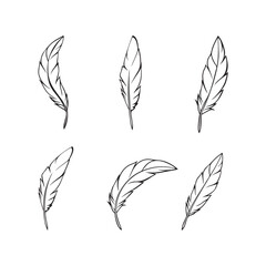 Feathers line art set vector