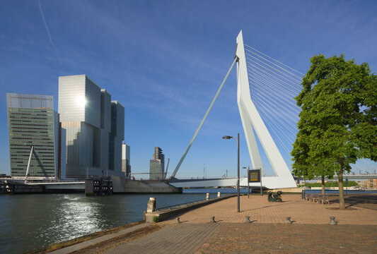 Erasmus Bridge and modern architecture in Rotterdam on a sunny day