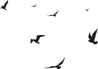 Flying birds silhouettes on white background. Vector illustration. isolated bird flying. tattoo design.