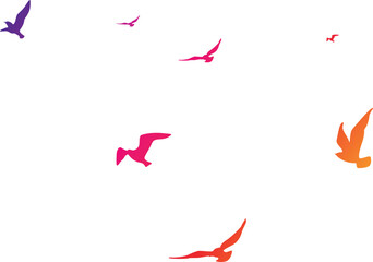 Flying birds silhouettes on white background. Vector illustration. isolated bird flying. tattoo design.