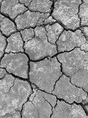 Cracked earth. Large deep chaotic cracks in ground. Natural phenomenon, disaster. Arid agricultural field, drought. Lifeless desert. Drought Concept. Dry Cracked Ground Texture, Climate Change. Summer