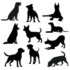 Dog Breed Silhouettes Vector Collection in Black Style