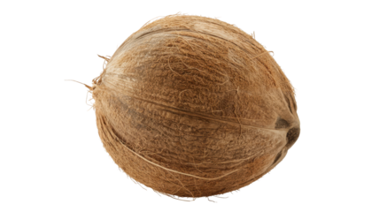 Whole brown fibrous coconut with visible husk isolated on a transparent background image