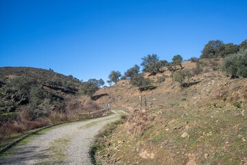  Rural hiking trail in Monfragüe Natural Park, Extremadura, Spain. Dry Mediterranean landscape with clear blue sky and scenic path through rolling hills.