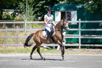 Dressurreiten