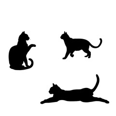 silhouettes of cats