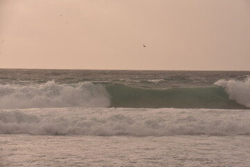 Powerful ocean waves crashing under a soft pastel-toned sky during sunset. The golden light of the setting sun casts a warm glow over the scene, creating an atmosphere that is both serene and dramatic