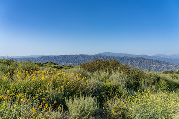 top of Mount Hollywood Trail, Griffith Park, Los Angeles. Santa Monica Mountains are a coastal mountain range in Southern California, next to the Pacific Ocean. It is part of the Transverse Ranges.