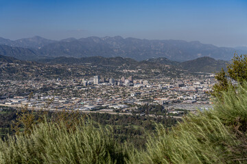 Glendale is a city located primarily in the Verdugo Mountains region, Mount Hollywood Trail, Griffith Park, Los Angeles, California. Santa Monica Mountains. Artemisia californica, California sagebrush
