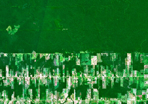Deforestation in the Brazilian Amazon rainforest, July 2025, Satellite image showing rapid deforestation in the Brazilian Amazon in July 2025.