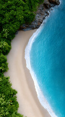 Aerial view of a serene tropical beach with soft white sand, lush green foliage, and vibrant turquoise waters, creating a tranquil coastal paradise for relaxation and escape