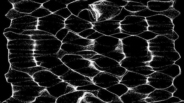 A soft core erupts into drifting particles that shape a reptilian skin&mdash;majestic abstract loop for cinematic visuals and immersive design.