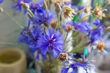 vase with a bouquet of blue flowers cornflowers close-up, photo background, space for text