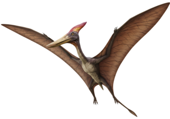 Pterodactyl in Flight A Prehistoric Avian Marvel isolated on transparent background