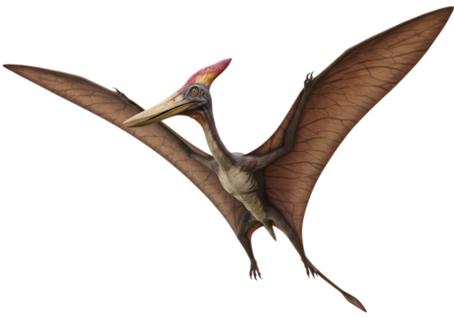 Pterodactyl in Flight A Prehistoric Avian Marvel isolated on transparent background