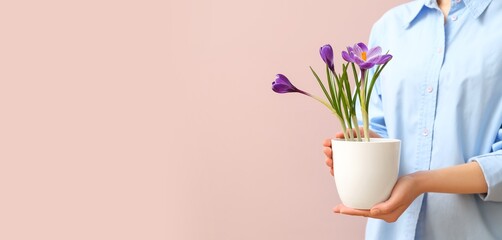 Woman holding pot with beautiful blooming crocus on pink background with space for text, closeup