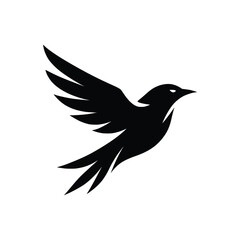 silhouette of a bird 