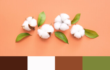 Cotton flowers and plant leaves on orange background