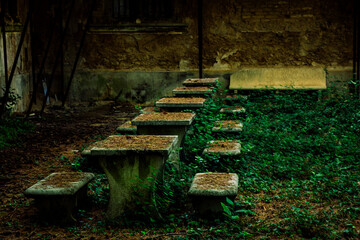 Fototapete bei efototapeten.de bestellen   