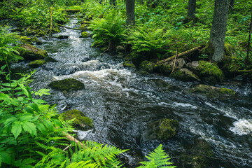 Forest stormy river among steamboats