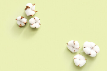 Cotton flowers on green background