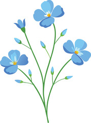 Delicate blue flax flowers with buds on a white background