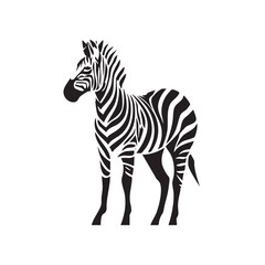 Obraz premium Zebra standing elegantly in monochrome design for modern decor