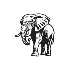 Obraz premium Majestic elephant standing gracefully in natural surroundings