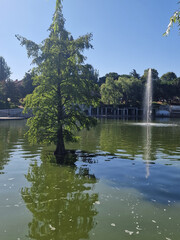 Calm lakeside view on a clear day with gentle ripples reflecting surrounding rocks and grassy shore