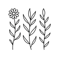 Simple Line Art Floral Designs Flower and Leaves Vector Illustration.