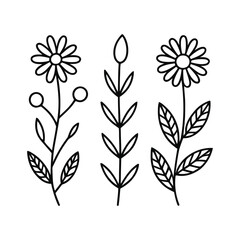 Simple Line Art Floral Designs Daisies, Buds, and Leaves Vector Icons.