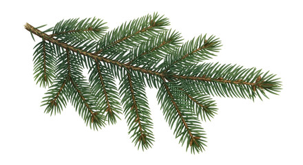 Evergreen Branch with Transparent Background:  Nature's Beauty, Isolated for Design Projects,  Perfect for Digital Crafts, Ideal for Festive Decorations,  Easily Downloadable Resource.