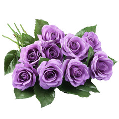 Purple roses in a bunch on Transparent Background.