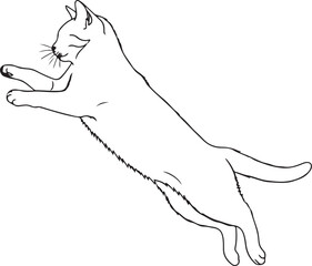 Vector illustration of various cartoon animals including a cat, dog, and mouse, in black and white silhouette art