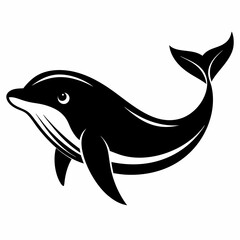 Fototapeta premium dolphin isolated on white