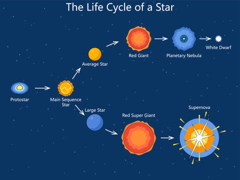 star formation and evolution stages including protostar, red giant, supernova, white dwarf, and more diagram hand drawn schematic vector. Science educational illustration