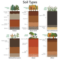 soil types with labeled layers, vegetation, and characteristics including Podzol, Mollisol, Oxisol, and more diagram hand drawn schematic vector. Science educational illustration © Oleksandr Pokusai